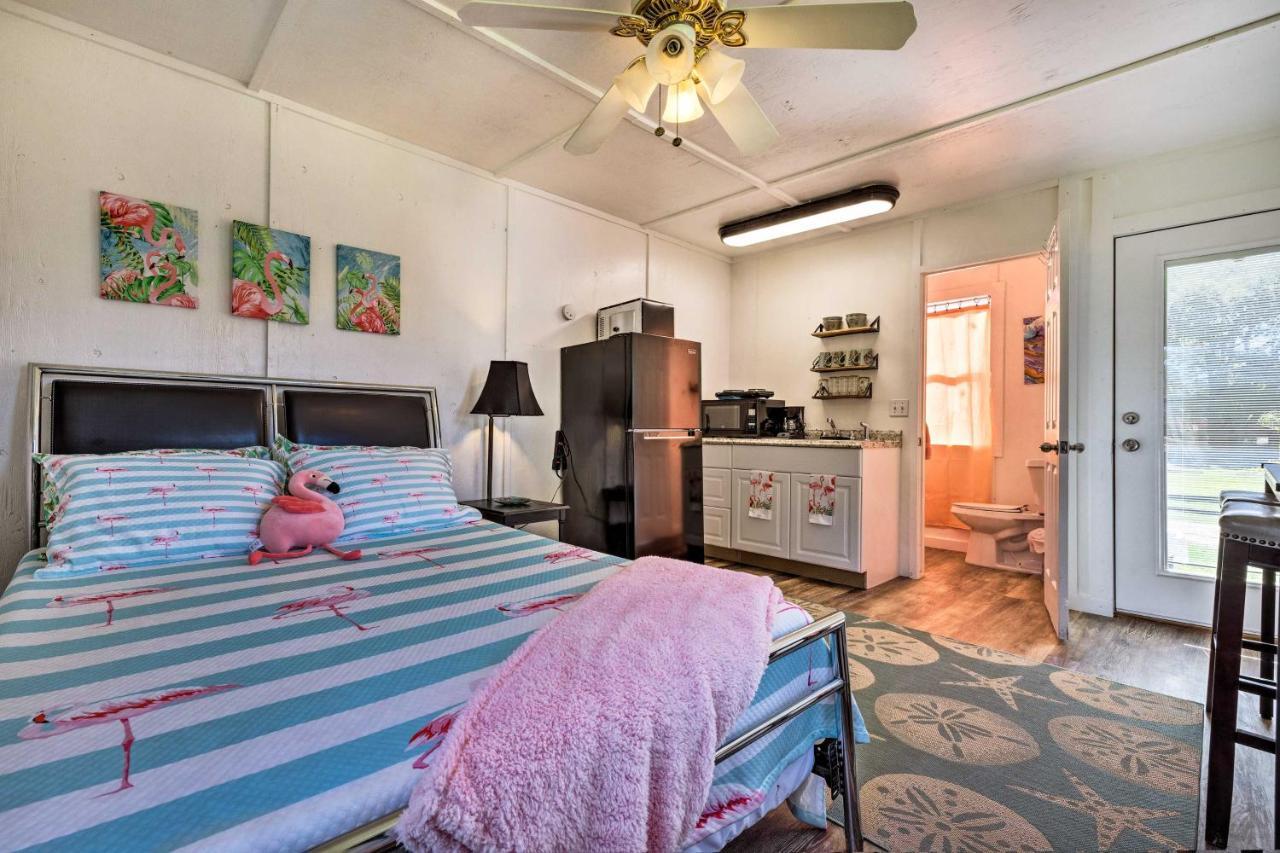 Flirty Flamingo Studio 1 Mi To Canyon Lake Ngoại thất bức ảnh