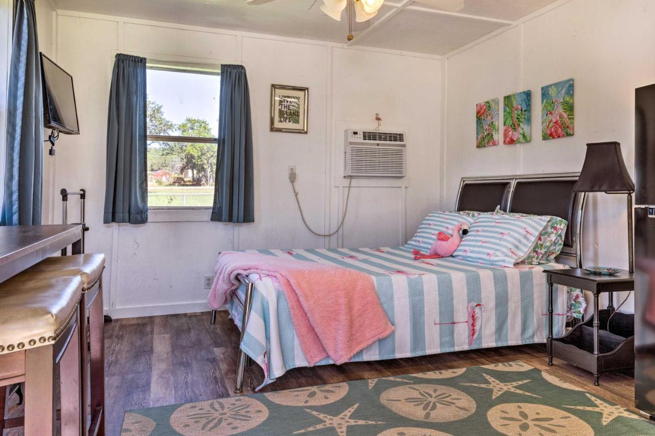 Flirty Flamingo Studio 1 Mi To Canyon Lake Ngoại thất bức ảnh