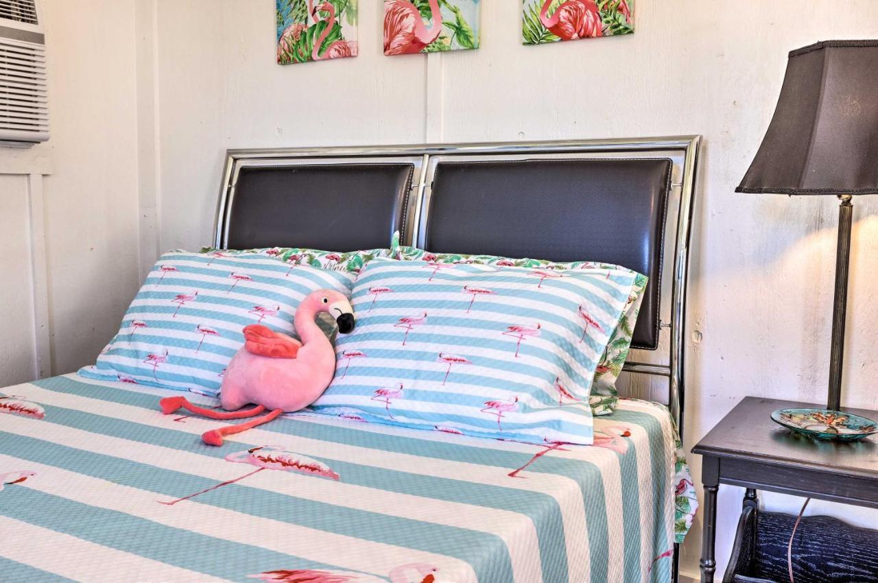Flirty Flamingo Studio 1 Mi To Canyon Lake Ngoại thất bức ảnh